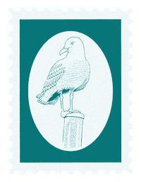 Corpus Christi Texas Travel Sticker by Visit Corpus Christi