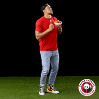 OfficialPandaExpress dance happy dance panda dance moves GIF
