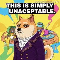 Shiba Inu No GIF by Doge Pound