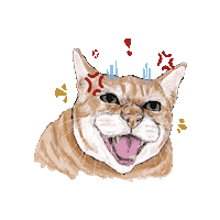 dkpmarts grrr angry cat grumpy cat ginger cat Sticker