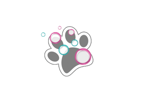 Cats Dogs Sticker by Grooming Paws&All