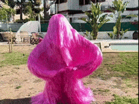 Ibiza GIF