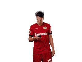Bayer 04 Phone Sticker by Bayer 04 Leverkusen