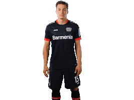 Bayer 04 Werkself Sticker by Bayer 04 Leverkusen