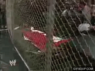 hell in a cell GIF