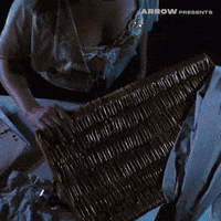 Basket Case Film GIF by Arrow Video