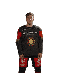 Ice Hockey Sticker by deb_teams