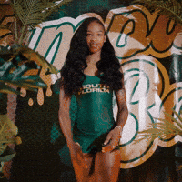 South Florida Horns Up GIF by USF Athletics