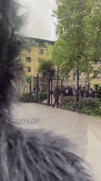 Grove Street Gang GIF by Ren DMC