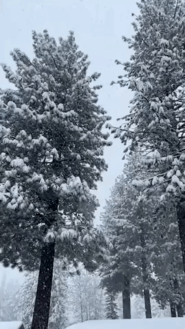 Winter Storm Prompts Avalanche Warning in Lake Tahoe, California