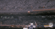 New England Patriots Football GIF by NFL