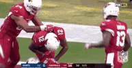 Arizona Cardinals Football GIF by NFL