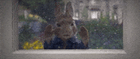 peter rabbit GIF