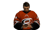 Petr Mrazek Goalie Sticker by Carolina Hurricanes