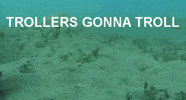 troll trolling GIF
