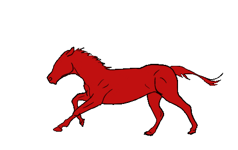Horse Running Horse Gallop Stickers Find Share On Giphy