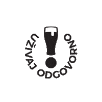 Beer Lager Sticker by karlovackopivo