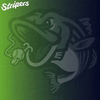 GoStripers double gwinnett stripers GIF