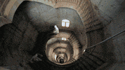 cbs the amazing race uganda GIF