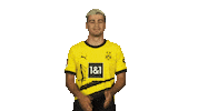 Well Done Applause Sticker by Bundesliga