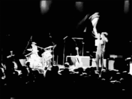 stripes GIF