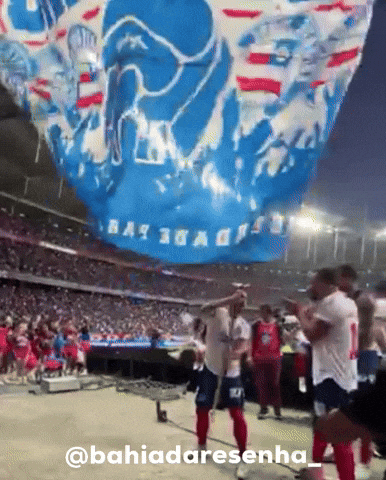 Bahiadaresenha GIF