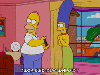 homer simpson GIF