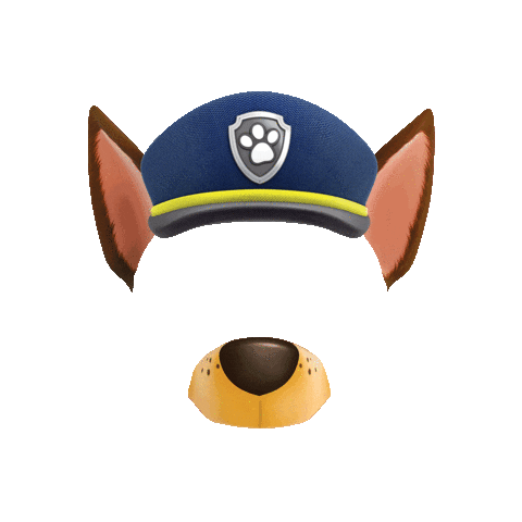 Paw Patrol Dog Sticker by Nick Jr