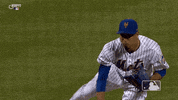 Excited Lets Go GIF by New York Mets