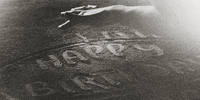 harry potter birth day GIF