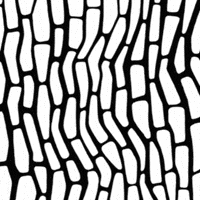 leonkuki abstract bw pattern artsy GIF