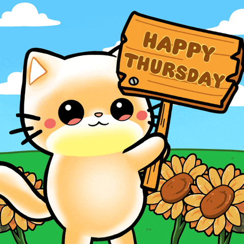 Happy Cat GIF by Mochimons