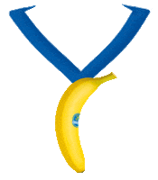 run win Sticker by Chiquita