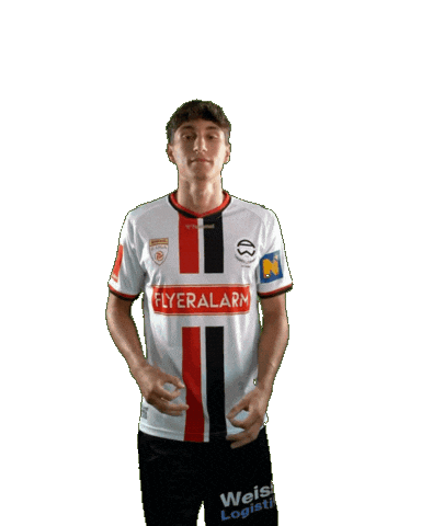 Admira Sticker by KSV1919