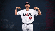 Pro GIF by USA Baseball