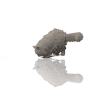 Popcorn Sticker by Amazon Prime Video