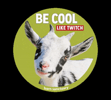 be cool twitch GIF by Barn Sanctuary