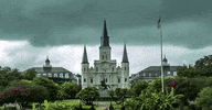 louisiana GIF