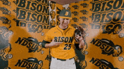 Baseball Bison GIF by NDSU Athletics