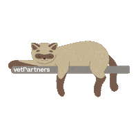 Cat Chill Sticker by VetPartners