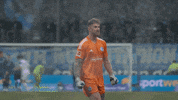 Football Soccer GIF by FC Schalke 04