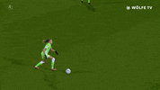 Champions League Football GIF by VfL Wolfsburg