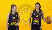 GIF by lupebasket