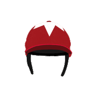 Cheltenham Festival Win Sticker by HRI