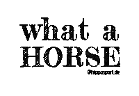 Horse Ride Sticker by HippoSport GmbH