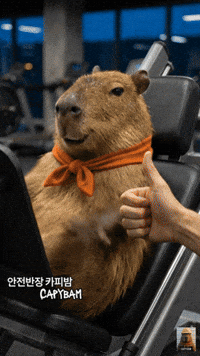Fitness Workout GIF