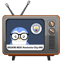 Manchester City Football Sticker by Pudgy Penguins