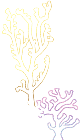 Sticker by Spectrum Collections