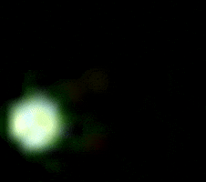 g399866 giphycreatortest festive buttons static websites GIF