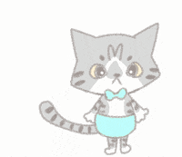 noryco cat gato store loja GIF